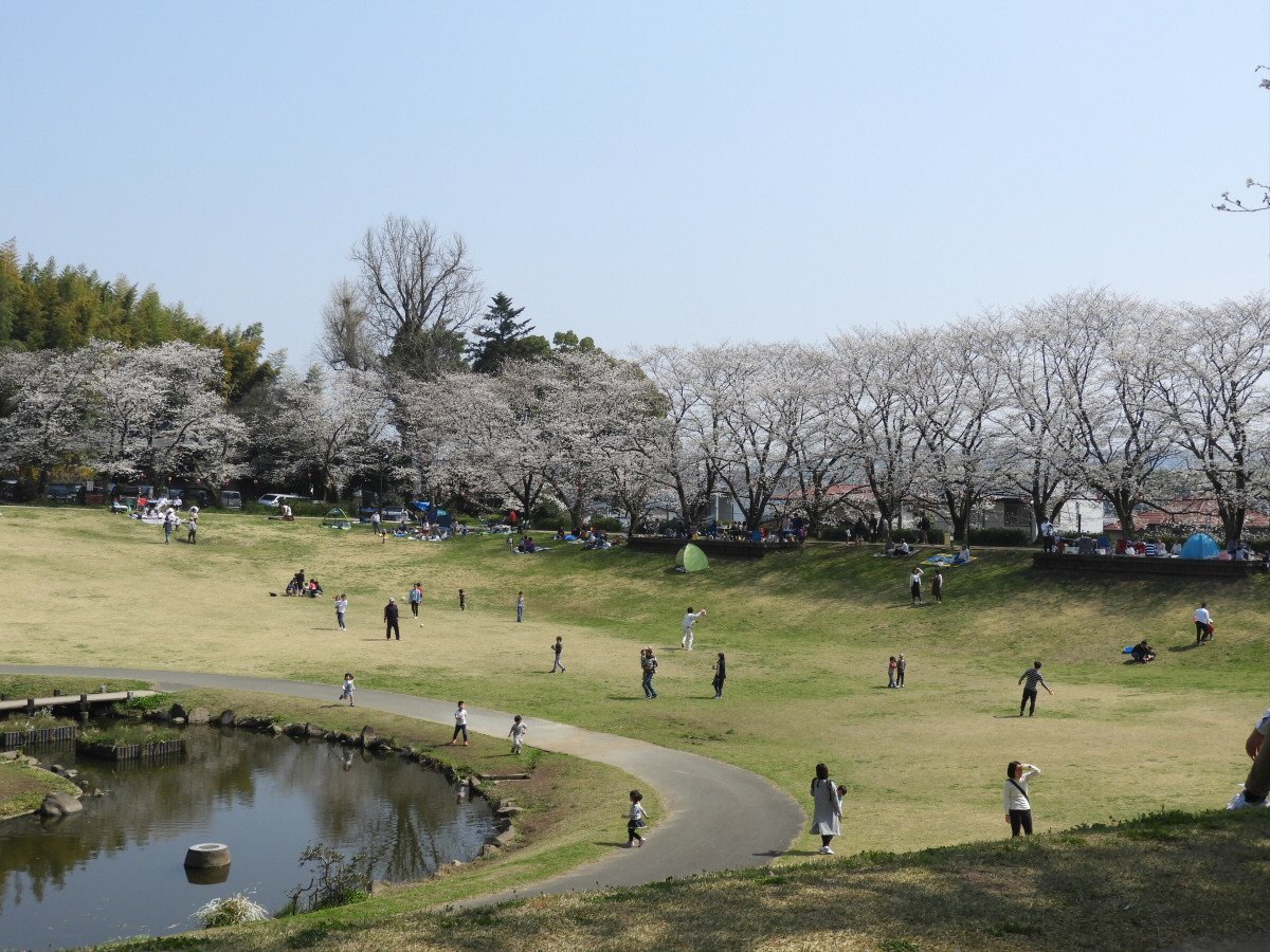 🏞️ 묘선사 공원 (묘센지 코엔) 이미지 3
